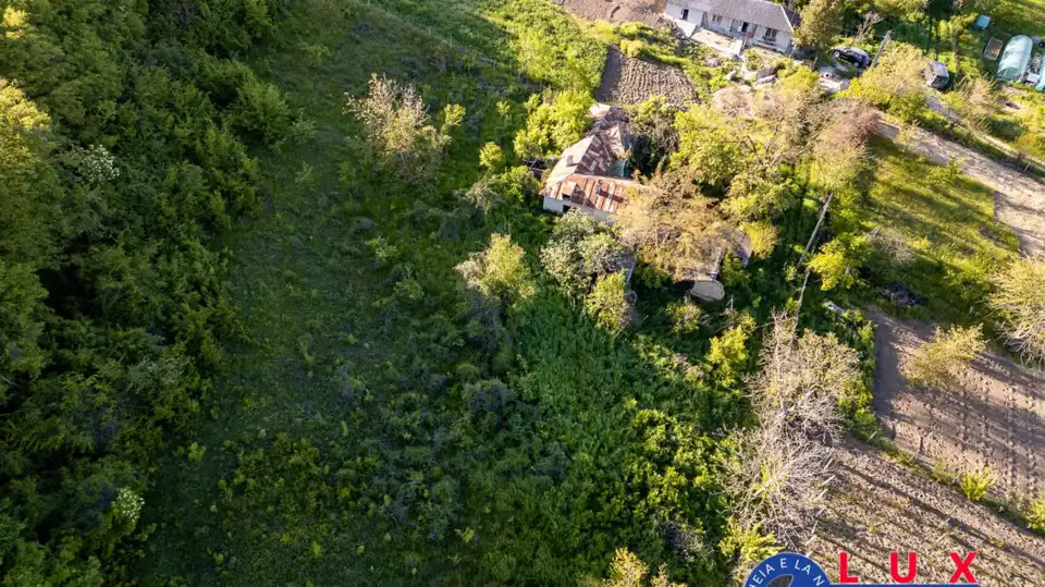 Fotografie 10: Exclusivitate, Oază de liniște în Visterna