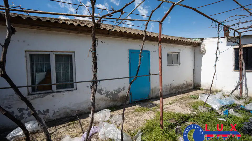 Fotografie 21: Oportunitate investiție agro industrială, Exclusivitate