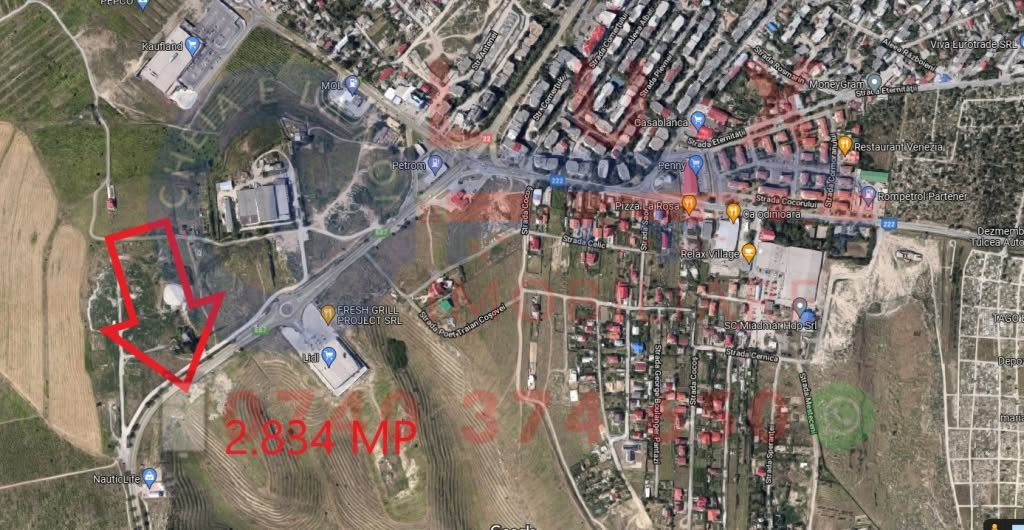 Fotografie 2: ID 7102 | TEREN DN22 – E87 | 2.834 MP | OPORTUNITATE PENTRU INVESTIȚIE