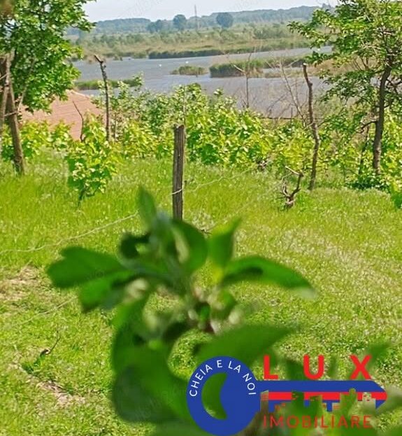 Fotografie: ID 7852 Teren pentru casă – Strada Orizontului