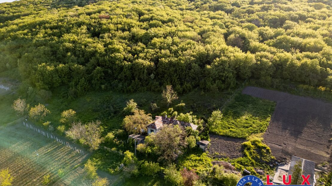 Fotografie 3: ID 7923 EXCLUSIVITATE – Oază de liniște în Visterna