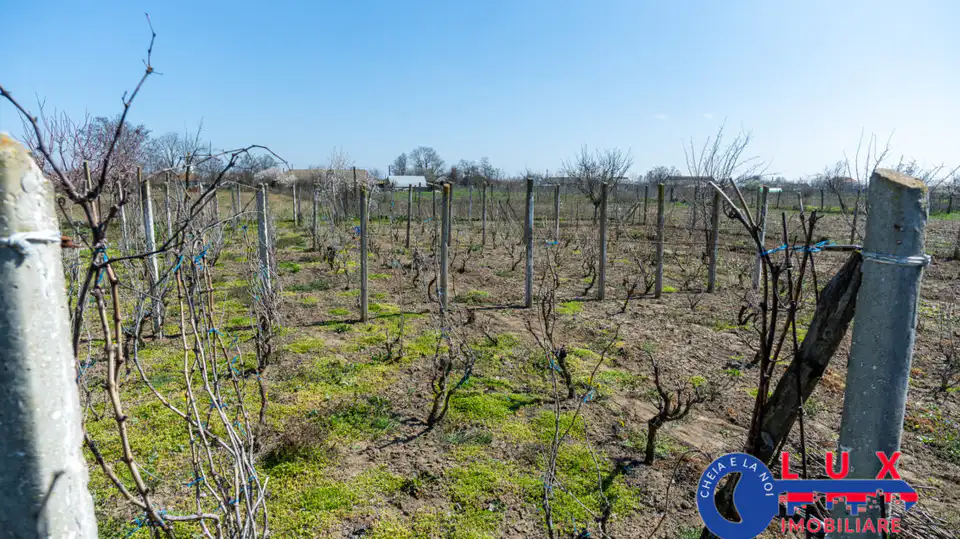 Fotografie 21: Exclusivitate, Teren cu casa in Sat Lunca- Delta Dunării