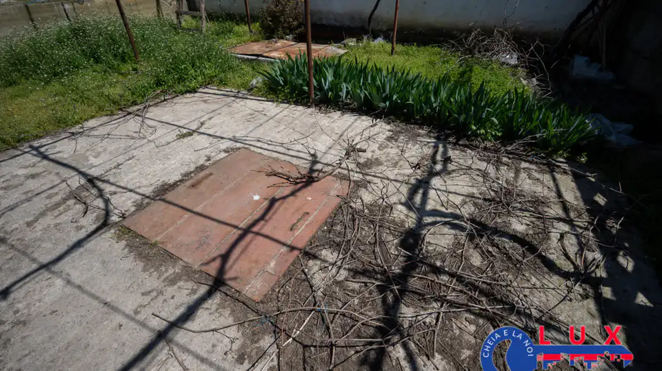Fotografie 9: Oportunitate investiție agro industrială, Exclusivitate