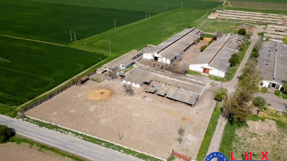 Fotografie 14: Oportunitate investiție agro industrială, Exclusivitate