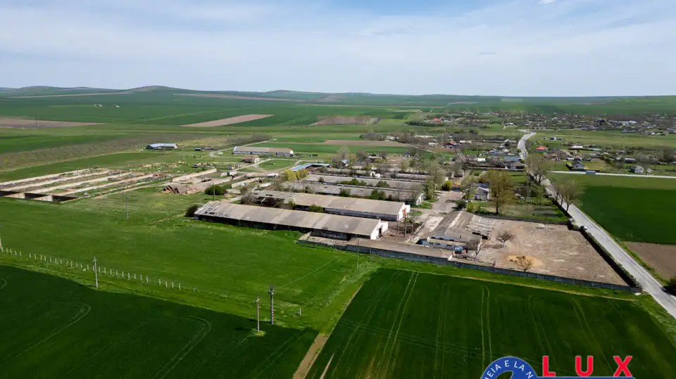 Fotografie 19: Oportunitate investiție agro industrială, Exclusivitate