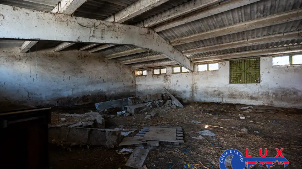 Fotografie 6: Oportunitate investiție agro industrială, Exclusivitate