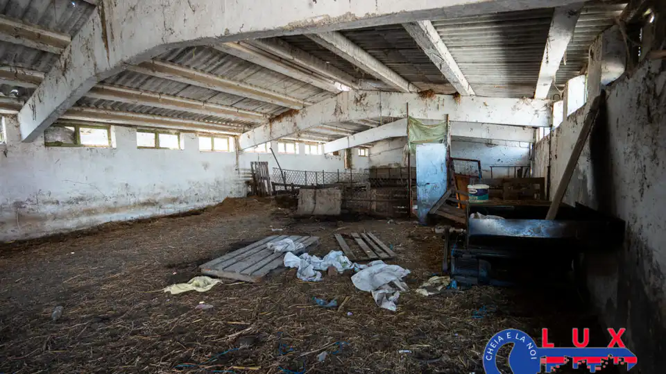 Fotografie 7: Oportunitate investiție agro industrială, Exclusivitate