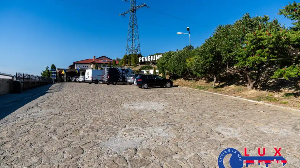 Fotografie 16: Pensiunea Lebăda, Mineri