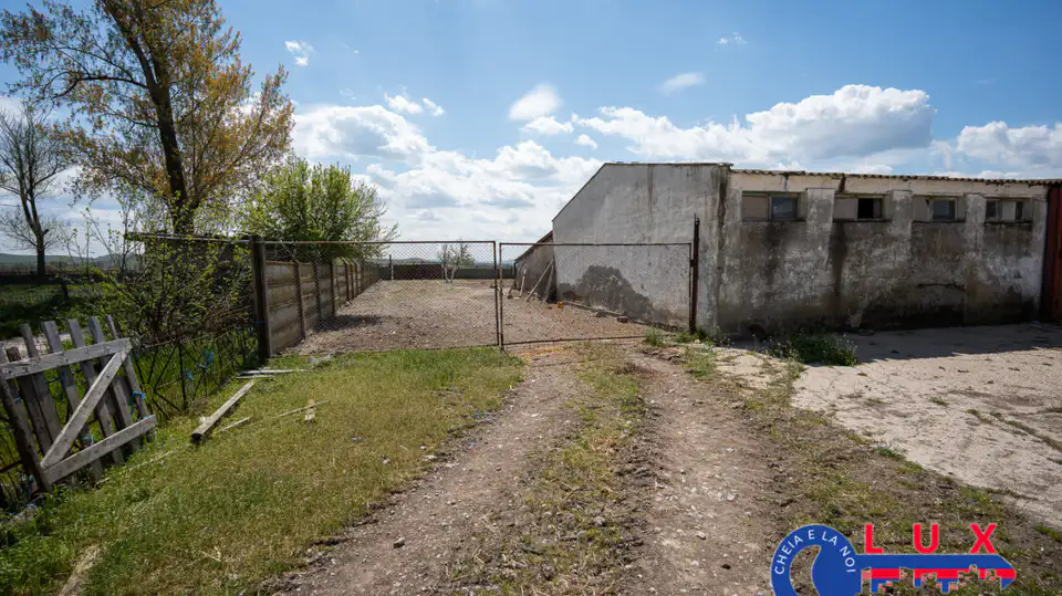 Fotografie 8: Oportunitate investiție agro industrială, Exclusivitate