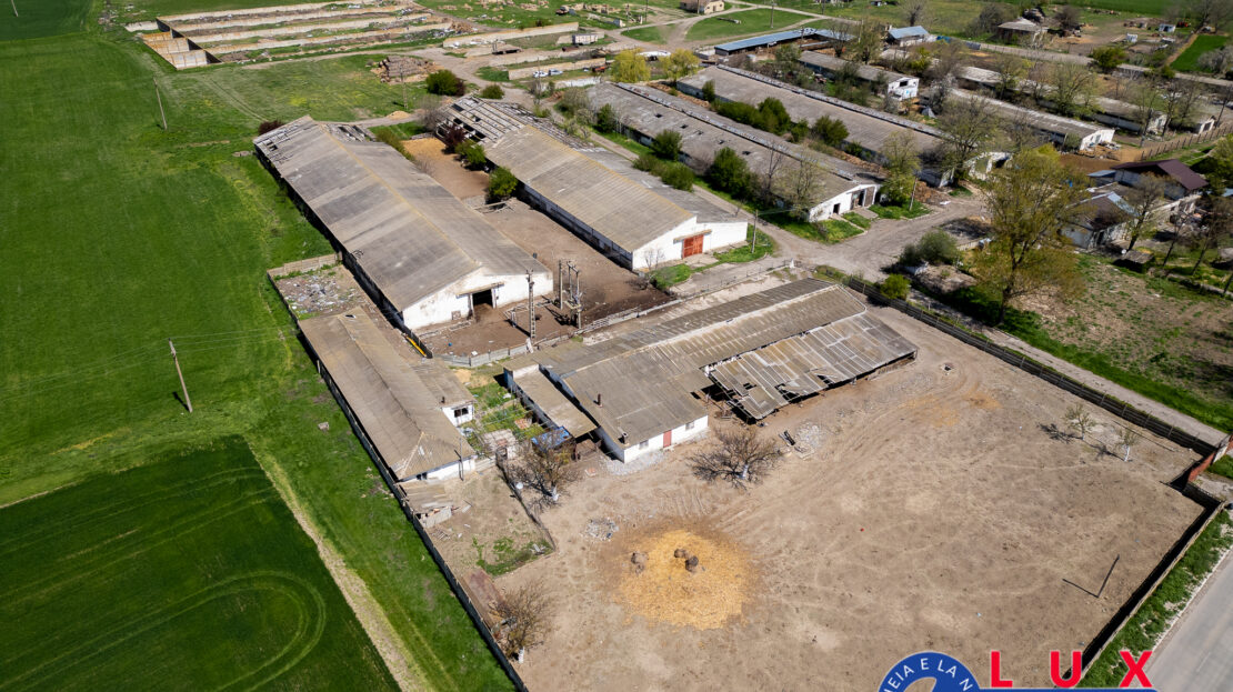 Fotografie: ID 7905 Oportunitate investiție agro-industrială – EXCLUSIVITATE