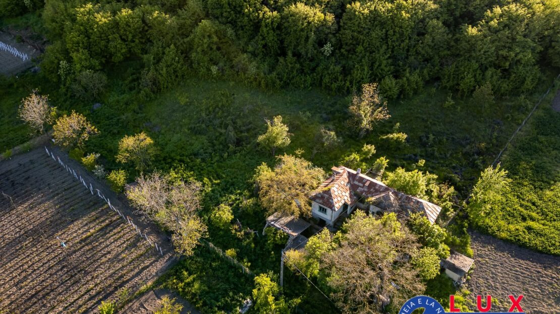 Fotografie 2: ID 7923 EXCLUSIVITATE – Oază de liniște în Visterna