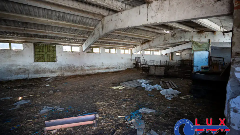 Fotografie 5: Oportunitate investiție agro industrială, Exclusivitate