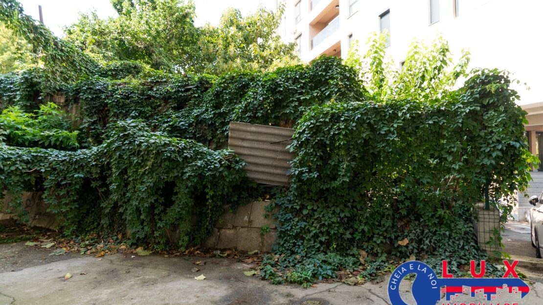 Fotografie 3: ID 7777 EXCLUSIVITATE – Teren pe Strada GRIVIȚEI