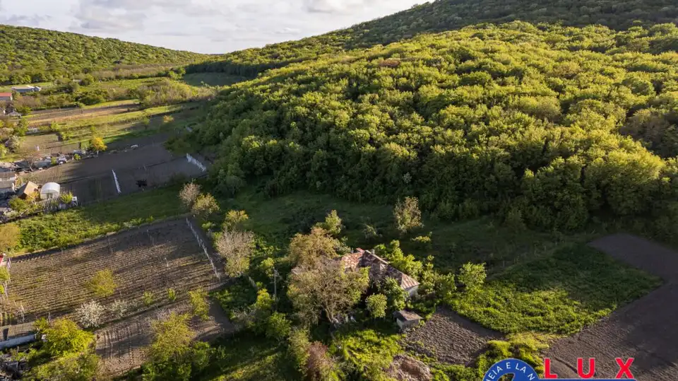 Fotografie 4: Exclusivitate, Oază de liniște în Visterna