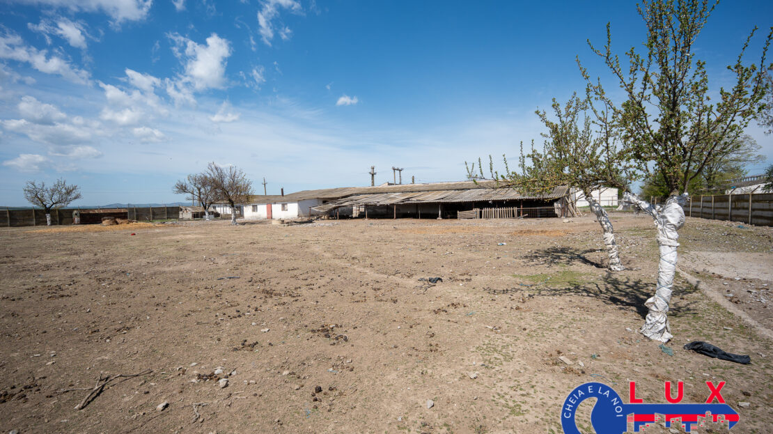 Fotografie 3: ID 7905 Oportunitate investiție agro-industrială – EXCLUSIVITATE