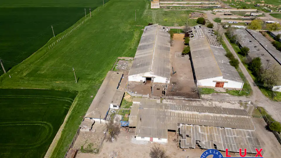 Fotografie 16: Oportunitate investiție agro industrială, Exclusivitate