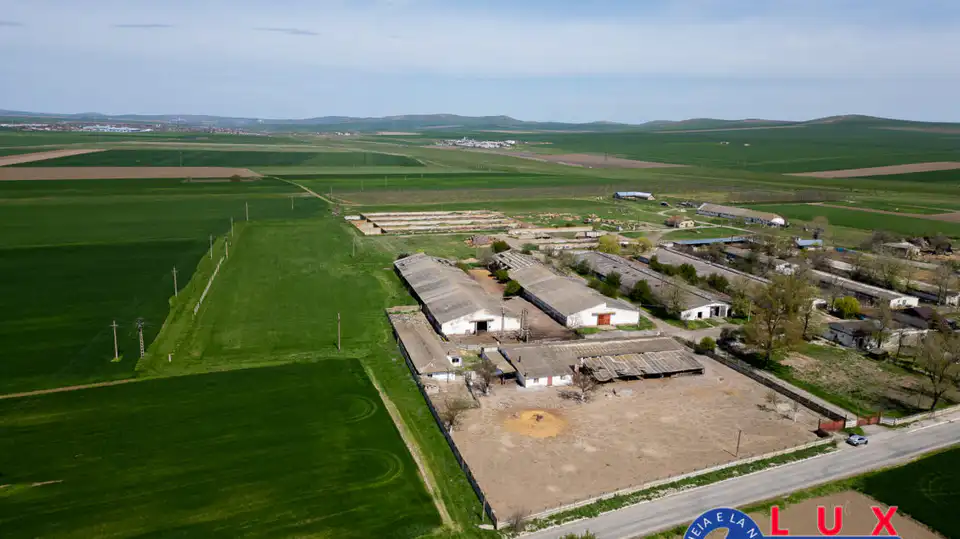 Fotografie 17: Oportunitate investiție agro industrială, Exclusivitate