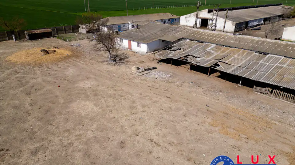 Fotografie 10: Oportunitate investiție agro industrială, Exclusivitate