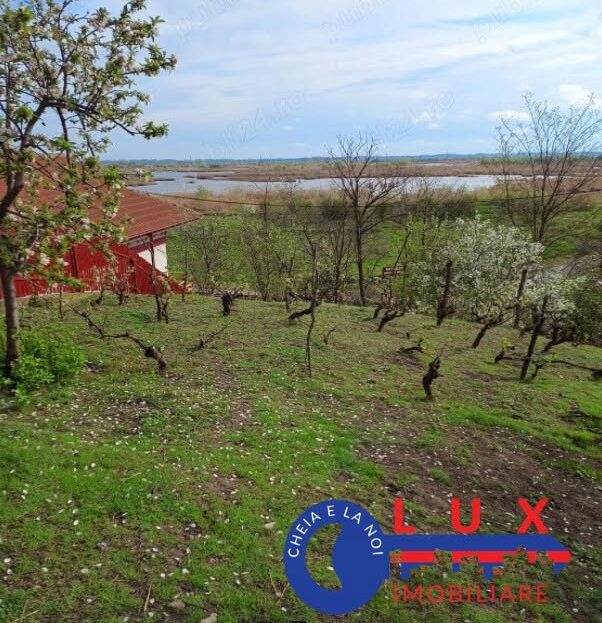 Fotografie 3: ID 7852 Teren pentru casă – Strada Orizontului