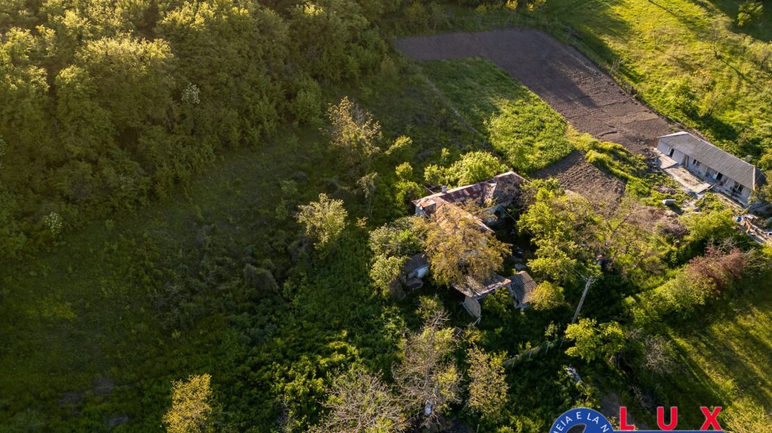 Fotografie: ID 7923 EXCLUSIVITATE – Oază de liniște în Visterna