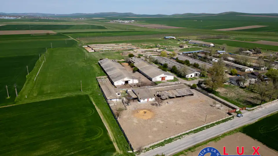 Fotografie 13: Oportunitate investiție agro industrială, Exclusivitate